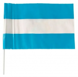 Bandera Argentina Milenio Plastica 40X60cm