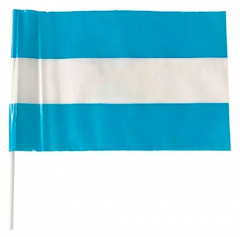 Bandera Argentina Milenio Plastica 40X60cm