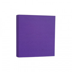 Carpeta Escolar Rexon 3X40 Pvc Violeta